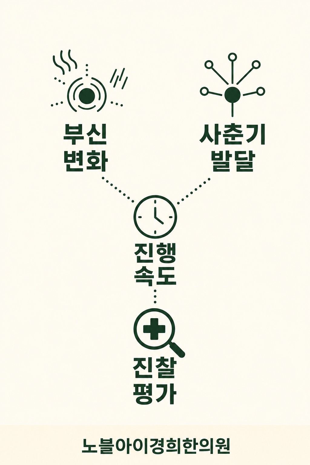 부신 변화와 사춘기 발달을 구분하고 진행 속도와 진찰 평가를 함께 살피는 도식