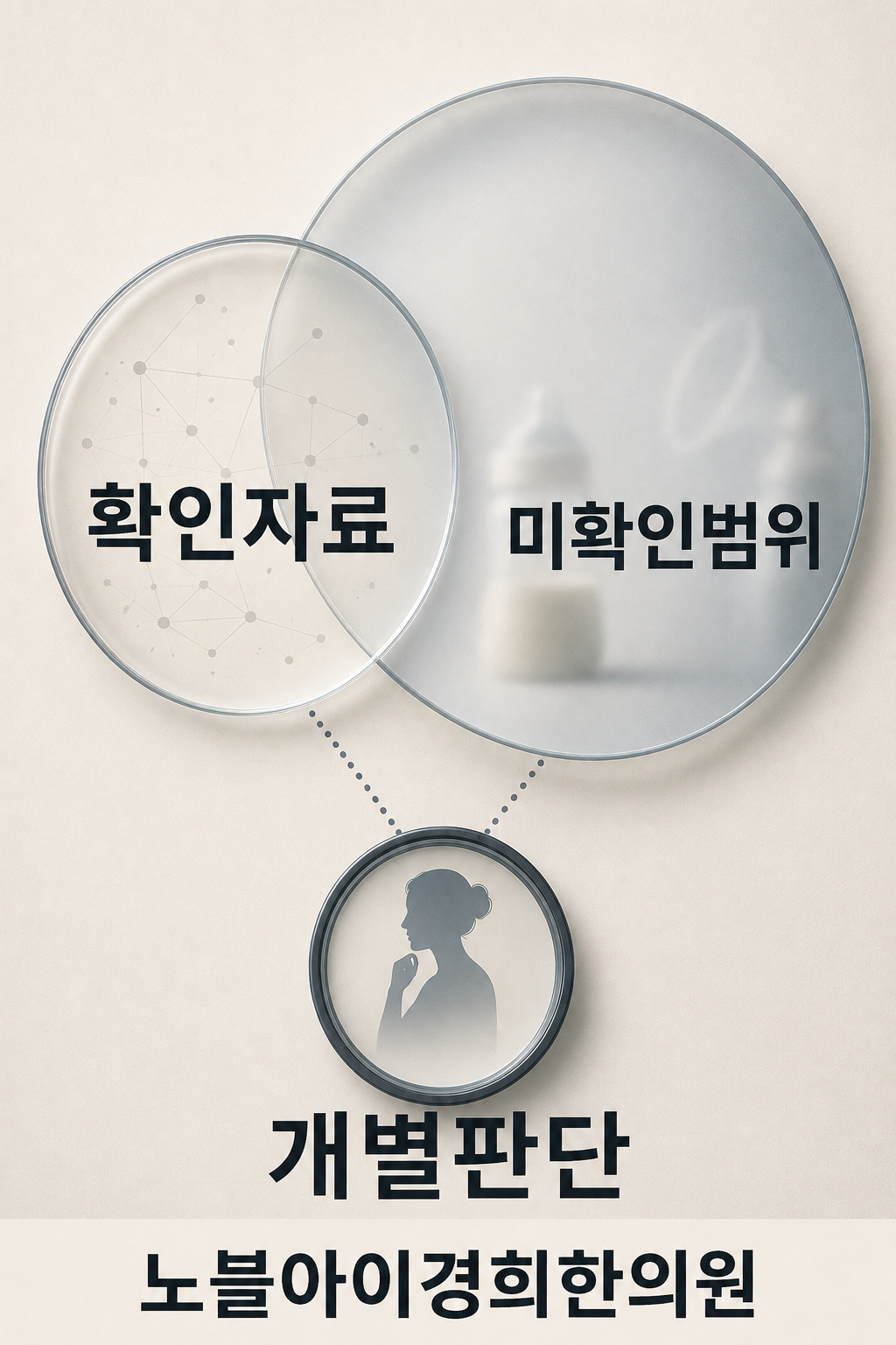 확인된 자료의 맑은 영역과 아직 확인되지 않은 흐린 영역을 구분해 개별 판단에 연결한 근거 범위 그림