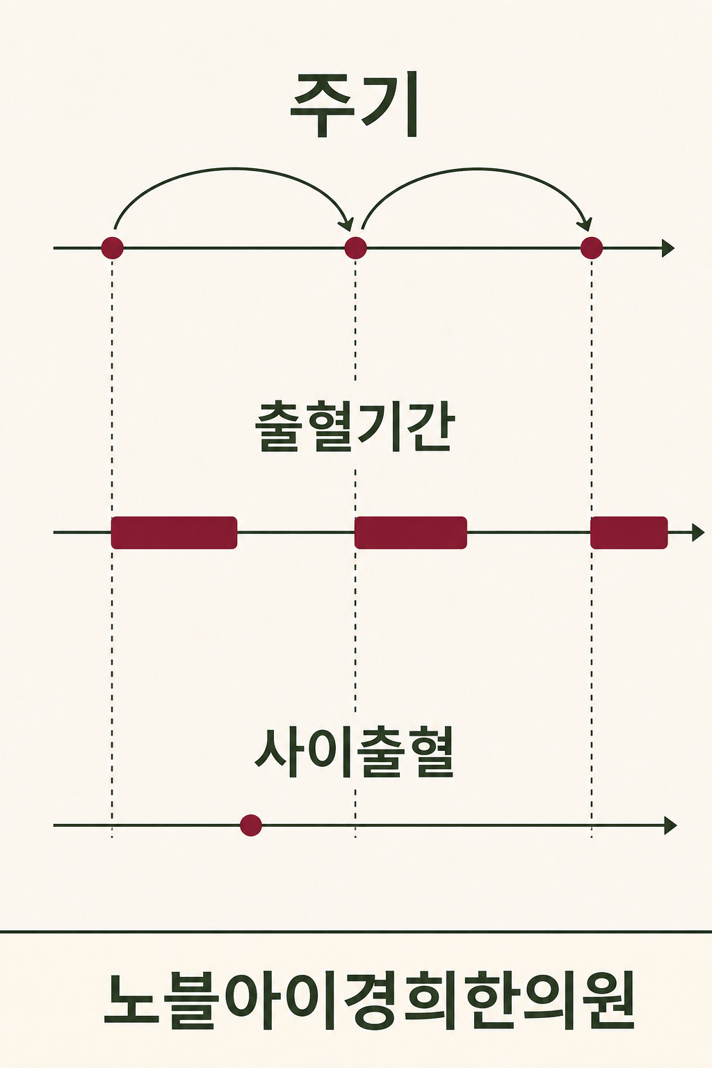 생리 시작 사이의 주기, 실제 출혈이 이어지는 기간, 두 생리 사이에 따로 나타나는 출혈을 같은 시간축에서 구분한 도식